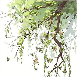 围着柳树飞的蝴蝶