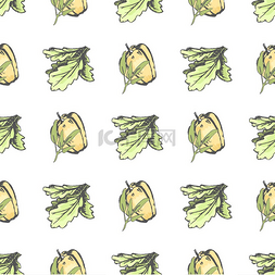 新鲜的生菜叶图片_甜椒和生菜叶孤立的矢量插图无尽
