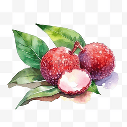 杨梅卡通水果图片_卡通手绘水果杨梅