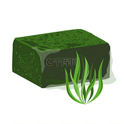 冷冻螺旋藻块和 aglae 的矢量图解