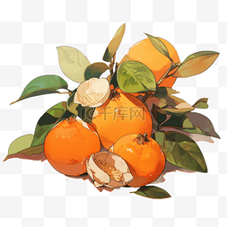 橘子psd图片_扁平插画手绘免抠元素橘子