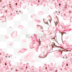 春季光效粉色樱花3d花瓣飘落边框