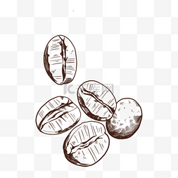 五个粗糙裂壳线稿咖啡豆