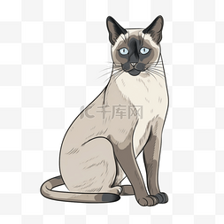 暹罗猫卡通风格宠物元素