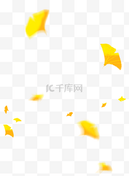 秋季布景图片_秋季黄叶落叶银杏叶