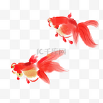 水墨红色金鱼中国画