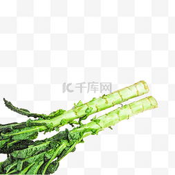 长青椒图片_家庭食用蔬菜莴笋