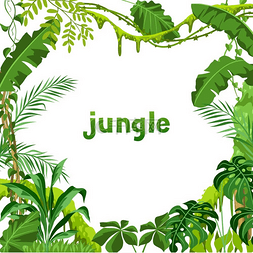 热带丛林背景图片_与丛林植物的背景。
