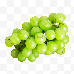 绿葡萄籽油图片_青提提子葡萄