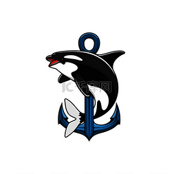 de迪亚标志图片_虎鲸和锚的图标赫拉尔迪徽章矢量