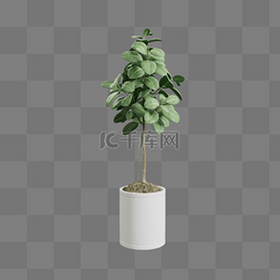 ins风绿植插画图片_3D盆栽植物绿植树木