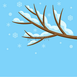 有雪的冬天树枝。