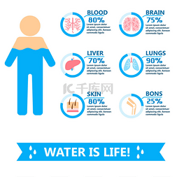 矢量健康生活图片_身体水饮料图表健康人饮食生活方
