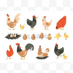 窝蛋图片_卡通鸡。可爱的家畜。母鸡在窝里
