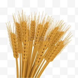 金色仿真小麦