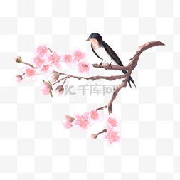 燕子粉色图片_中国风格花鸟画桃花水彩