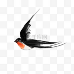 水墨飞燕黑色燕子动物鸟类