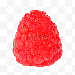 水果树莓图片_一颗红色树莓