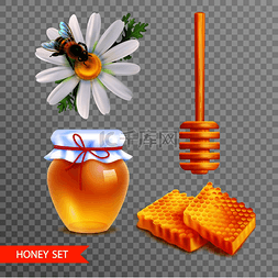 蜂蜜和熊图片_蜂蜜逼真的设置在透明的背景上有