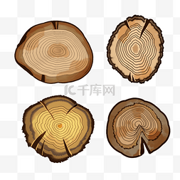 树木的年轮图图片_形状各异树桩年轮