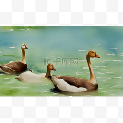 美丽河湖展板图片_河水中的鸭子