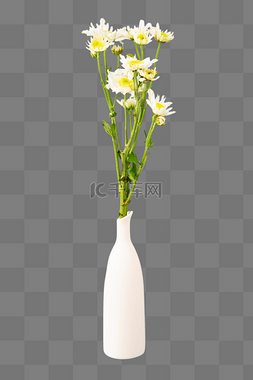 花瓶插花植物图片_重阳重阳节菊花瓶插花