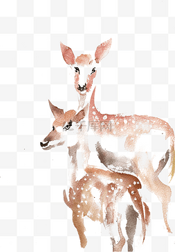小动物头部图片_两只小鹿
