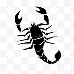 蝎子黑白纹身图案