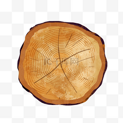 木头切面图片_树木年轮切割树干