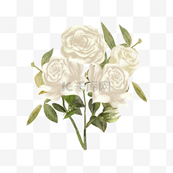 花卉绿叶图片_白玫瑰水彩婚礼花卉贺卡