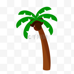 椰子树树木图片_椰子树植物
