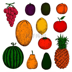 葡萄和菠萝图片_阳光明媚的黄色金丝雀瓜和菠萝、