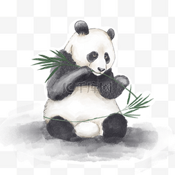 水彩熊猫图片_黑白水彩熊猫