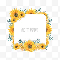 向日葵花卉边框正方形