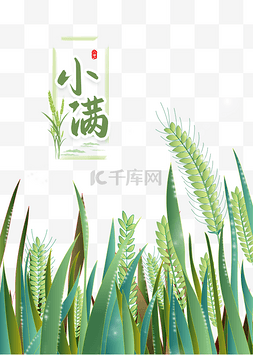 浅色粗布图片_小满二十四节气24节气传统节气夏