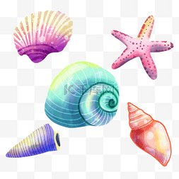 贝壳组合海洋水彩各类海洋生物