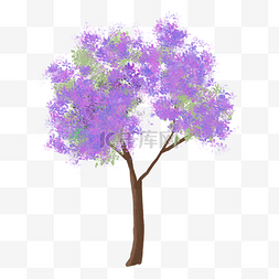 紫色大树图片_蓝花楹花朵树木