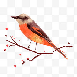 中国风格画鸟画站在树枝上的鸟