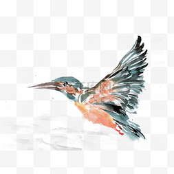 河滩素材图片_展翅的翠鸟