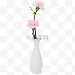 鲜花植物图片_粉色康乃馨鲜花花瓶摆件