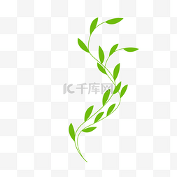 绿色藤蔓