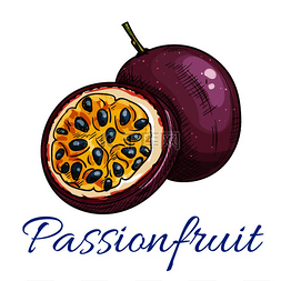 美味水果图标图片_百香果矢量彩色素描图标。