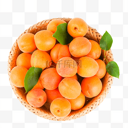 成熟的黄杏图片_杏子黄杏水果