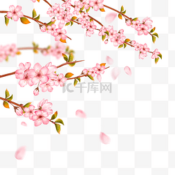 樱花光图片_浪漫的粉色光效樱花枝条