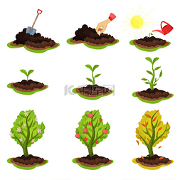 2013主题图片_显示植物生长阶段的平面向量图。