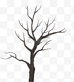 冬季树木树枝