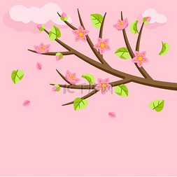 五月的日历图片_有花和叶子的春天树枝。