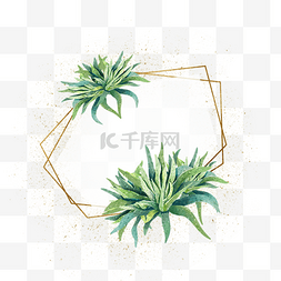 装饰花边图案设计图片_几何水彩植物芦荟边框