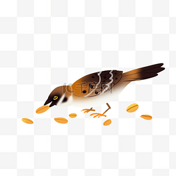 秋天动物麻雀觅食