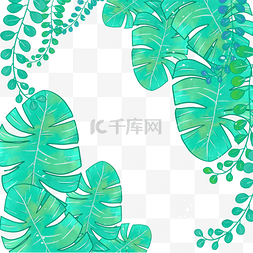 夏季绿色宽芭蕉叶水彩植物边框